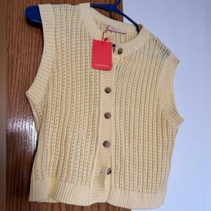 Olivaceous Pastel Yellow Knit Vest